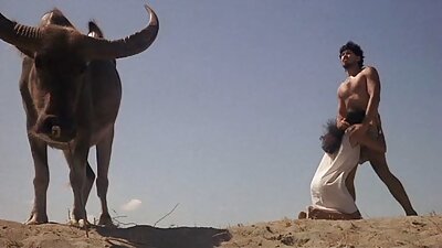 مارس الجنس أخت في افلام عربية سكس مترجم silit